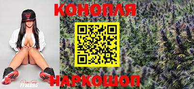 прущие грибы Ливны