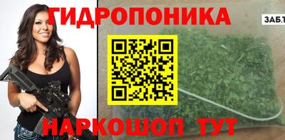 гашик Лесосибирск