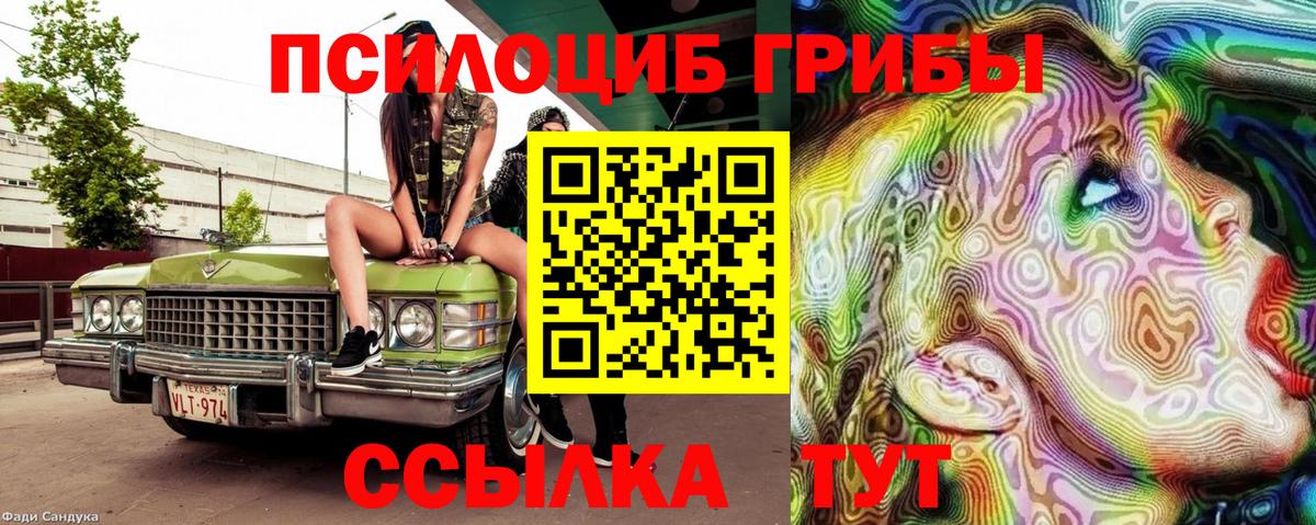 Псилоцибиновые грибы прущие грибы  Вход с VPN  Зеленодольск 